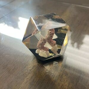 Nassau Coral Specimen Lucite Cube Paperweight Ocean Decor Souvenir